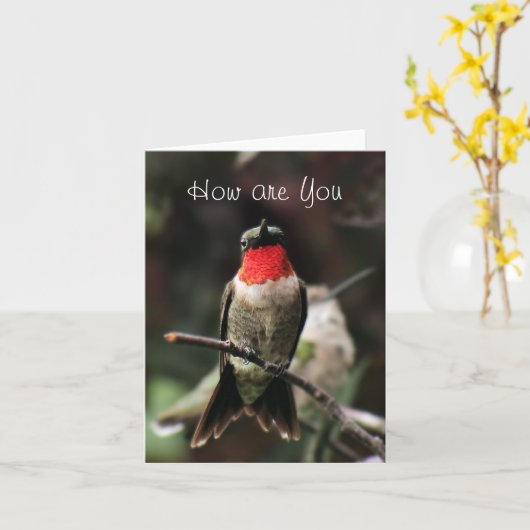 Lil Kolibri männlicher Gruß oder notecard-customiz Karte (Gelbe Blume)