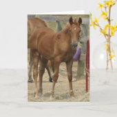 Lil' one karte (Gelbe Blume)