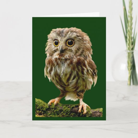 'Lil Owl Enmutierungskarte Karte (Vorderseite)