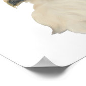 Lil Peke St Paddy Poster (Ecke)