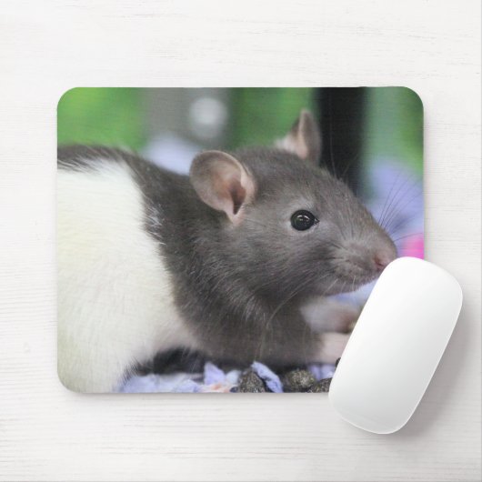 Lil rat mousepad (Mit Mouse)