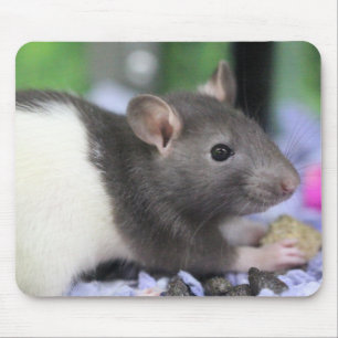 Lil rat mousepad