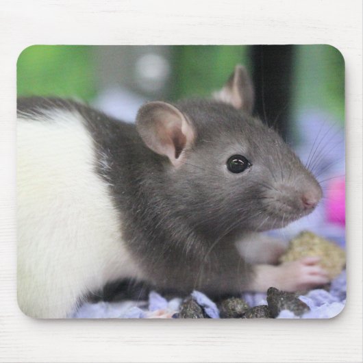 Lil rat mousepad (Vorne)
