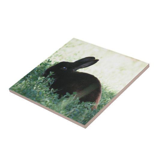 Lil schwarzes Häschen Fliese (Seite)