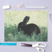 Lil schwarzes Häschen Seidenpapier (Handwerk)