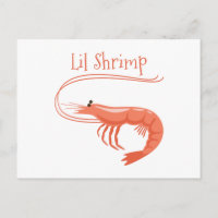 Lil Shrimp