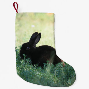 Lil versah schwarzes Häschen-Doppeltes mit Seiten Kleiner Weihnachtsstrumpf