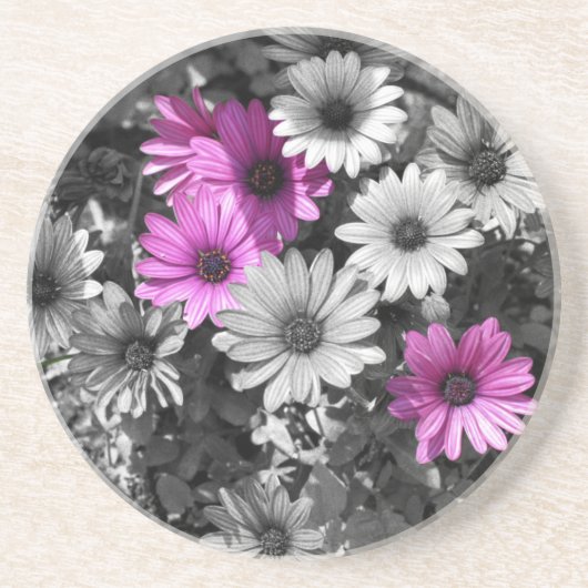 Lila African Daisies Floral Untersetzer (Vorne)