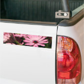 Lila African Daisy Autoaufkleber (Auf Lkw)