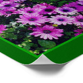 Lila African Daisy Blume Mirror Abstrakt Poster (Ecke)