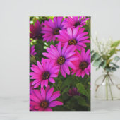 Lila African Daisy Briefpapier (Stehend Vorderseite)