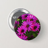 Lila African Daisy Button (Vorne & Hinten)