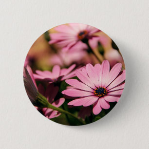 Lila African Daisy Button