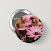 Lila African Daisy Button (Vorne & Hinten)