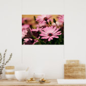 Lila African Daisy Poster (Küche)