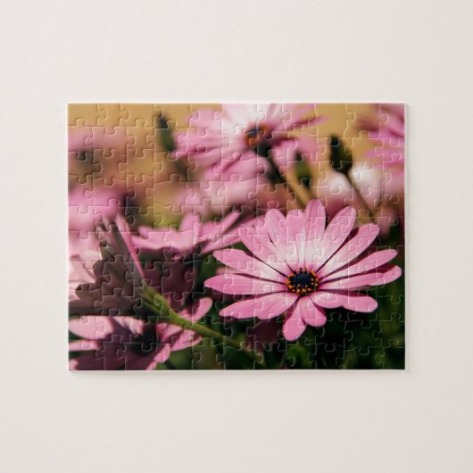 Lila African Daisy Puzzle (Horizontal)