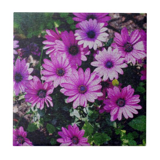 Lila afrikanische Daisies Floral Art Fliese (Vorderseite)