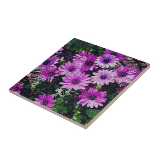 Lila afrikanische Daisies Floral Art Fliese (Seite)
