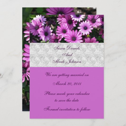 Lila afrikanische Daisy-Blume, die das Datum hochh Einladung (Vorne/Hinten)