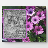 Lila afrikanische Daisy-Blume ergänzen Ihr eigenes Fotoplatte (Vorderseite)