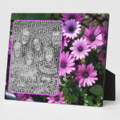 Lila afrikanische Daisy-Blume ergänzen Ihr eigenes Fotoplatte (Seite)