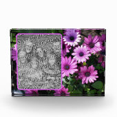 Lila afrikanische Daisy-Blume ergänzen sich Fotoblock (Vorderseite)