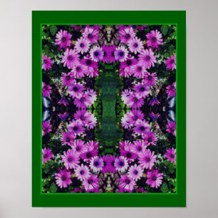 Lila Afrikanische Gänseblümchen Blumen Spiegel Abs Poster