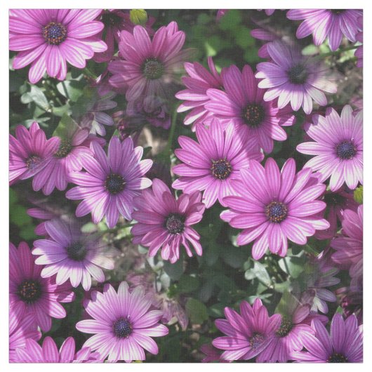 Lila afrikanisches Daisy-Blume Naturblumenmuster Stoff (Muster)