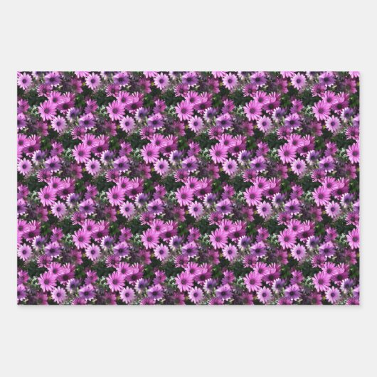 Lila afrikanisches Daisy-Blume Naturmuster Geschenkpapier Set (Vorderseite 3)