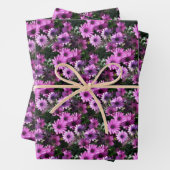 Lila afrikanisches Daisy-Blume Naturmuster Geschenkpapier Set (Beispiel)