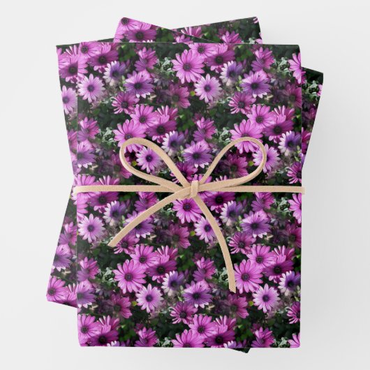 Lila afrikanisches Daisy-Blume Naturmuster Geschenkpapier Set (Beispiel)
