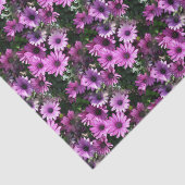 Lila afrikanisches Daisy-Blume Naturmuster Seidenpapier (Ausschnitt)