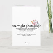 Lila afrikanisches Gänseblümchen, durch AnnaWight Karte (Rückseite)