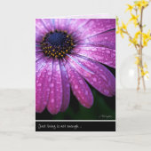 Lila afrikanisches Gänseblümchen, durch AnnaWight Karte (Gelbe Blume)