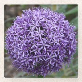 Lila Allium Bloom Floral Glasuntersetzer
