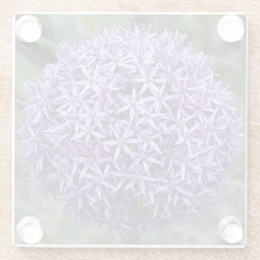 Lila Allium Bloom Floral Glasuntersetzer (Rückseite)