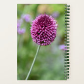 Lila Allium Blume Bloom Floral Notizblock (Rückseite)