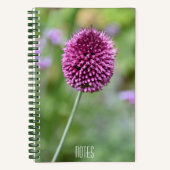Lila Allium Blume Bloom Floral Notizblock (Vorderseite)