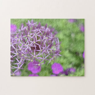 Lila Allium Blume Blüten Naturfotografie Puzzle