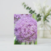 Lila Allium Blume Postkarte (Stehend Vorderseite)
