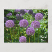 Lila Allium Blume Vielen Dank Postkarte (Vorderseite)