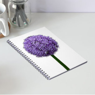 Lila Allium-Blüte auf weißem Hintergrund Notizblock