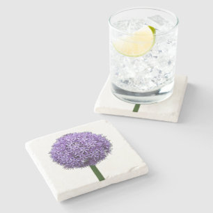 Lila Allium-Blüte auf weißem Hintergrund Steinuntersetzer