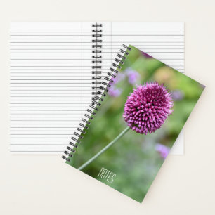 Lila Allium-Blüten-Blume Floral Notizblock
