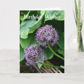 Lila Allium Floral Birthday Karte (Vorderseite)