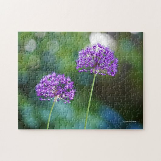 Lila Allium Giganteum Blume Puzzle (Horizontal)