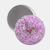 Lila Allium Magnet (Vorderseite/Rückseite)