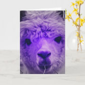 Lila Alpaca, Geburtstag Karte (Gelbe Blume)