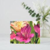 Lila Alstroemeria Blume Lilies Blume Foto Postkarte (Stehend Vorderseite)