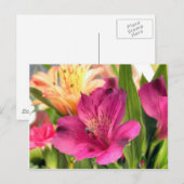 Lila Alstroemeria Blume Lilies Blume Foto Postkarte (Vorne/Hinten)